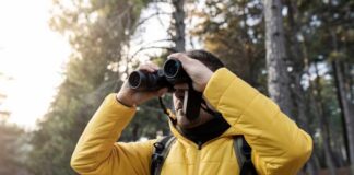 Person in a yellow jacket using binoculars in a forest