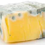 Cheese Lies You’ve Been Fed The Big Lies You've Been Believing About Cheese