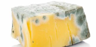 The Big Lies You've Been Believing About Cheese