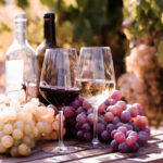 Wine Habit Might Rewire Your Brain Permanently Two glasses of wine beside fresh grapes in a vineyard