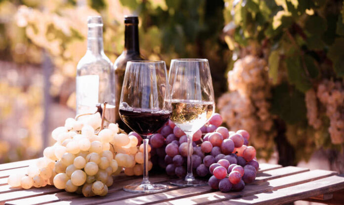 shutterstock_1443500945.jpg Two glasses of wine beside fresh grapes in a vineyard