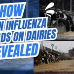 H5N1 Found in Milk, Air, AND Wastewater — What This Means for You