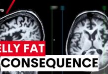 Invisible Gut Fat Upends Diabetes Rules Study reveals belly fat linked to increased dementia risk | 7NEWS