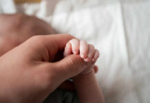 Growing trend of best friends co-parenting and raising children together A close-up of a babys hand being held by an adult hand