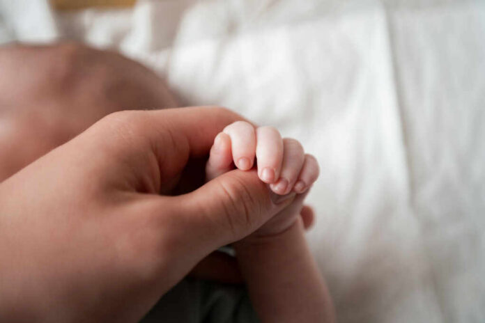 shutterstock_2079735238 A close-up of a babys hand being held by an adult hand