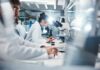 Dinner Staple That Cripples Cancer’s Spread Scientists working in a laboratory with microscopes and test tubes
