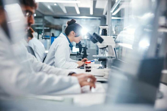 Medical,,Research,And,Scientist,In,Laboratory,With,Microscope,,Observation,And Scientists working in a laboratory with microscopes and test tubes