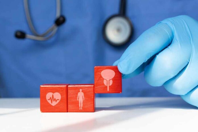 Bladder,And,Prostate,Stamped,On,Wooden,Cubes,,Prostate,Cancer,,Bladder A doctor's gloved hand placing red blocks with health symbols on a table