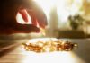 Probiotic Add-On Lifts Your Mood A hand reaching for a golden capsule among many on a table