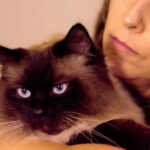 Health Benefits Of Pets 🐾 Why Your Mental Health May Be Better With Pets