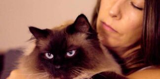 🐾 Why Your Mental Health May Be Better With Pets