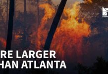 What Are Fire Clouds and How Are They Making Wildfires More Dangerous France's first ever fire cloud: What it means and why it's dangerous
