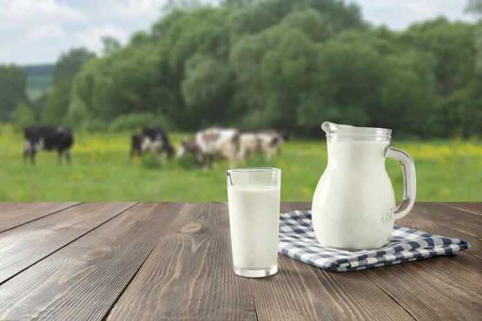 Milk jug and glass on wooden table with pasture in background