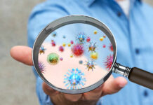 Fetal Mode: Hidden Switch That Turns Colon Tumors Rogue A person holding a magnifying glass showing colorful microorganisms
