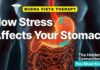 How Stress Rewires Digestion and The Gut How your Stomach responds to STRESS