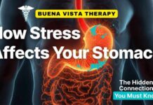 How Stress Rewires Digestion and The Gut How your Stomach responds to STRESS