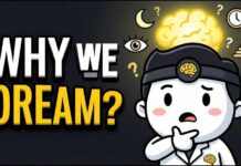 RECURRING Dreams — What They Mean What Dreams Are Really Doing Inside Your Brain