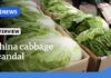 Cancer Chemical Found On Market Veg China probes reports cabbages were dipped in formaldehyde to stay fresh | The World | ABC News