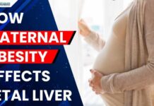 Maternal Obesity May Alter Fetal Liver Metabolism Through Placental Signals: Study