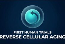 Longevity Gold Rush Meets Reality Check Cellular Rejuvenation in 2026: Why Aging is Changing Forever