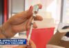 FDA approves Moderna's mRNA seasonal flu vaccine
