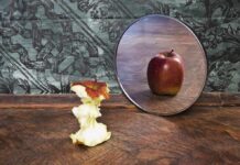 Effect of chronic apple consumption Apple core facing a mirror showing a whole apple