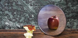 Apple core facing a mirror showing a whole apple