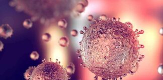 Microscopic view of virus-like particles with spiky surfaces