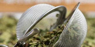 Tea infuser with loose dried leaves