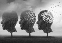Silent Red Flags That Predict Cognitive Slide Three trees shaped like human heads losing leaves
